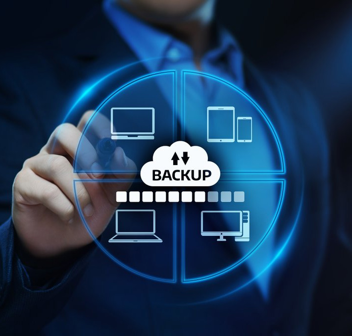 Cold Storage Backup Protocols