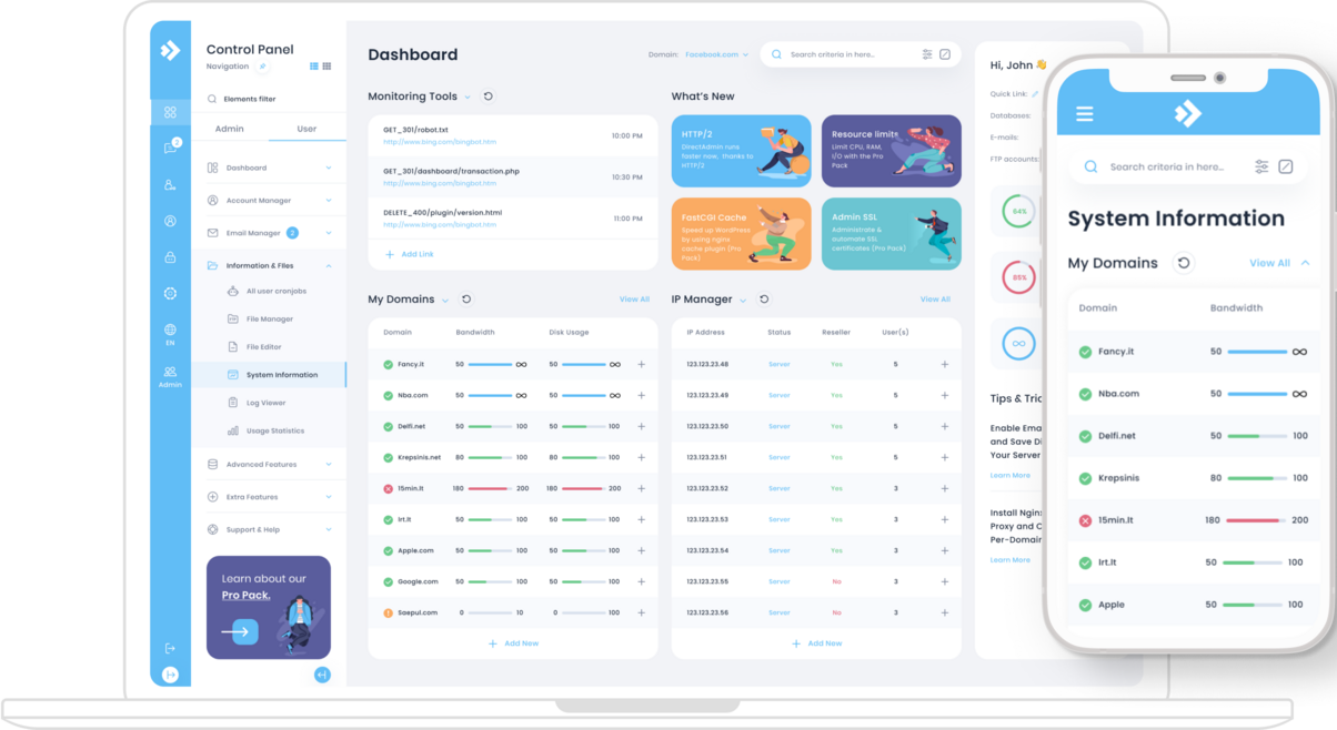 directadmin interface